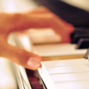 男男视频18免费网站
