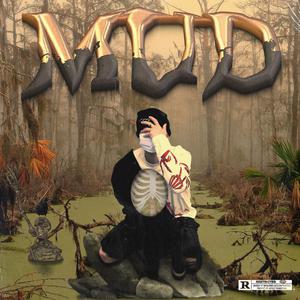 男男视频18免费网站
