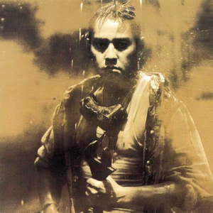 男男视频18免费网站
