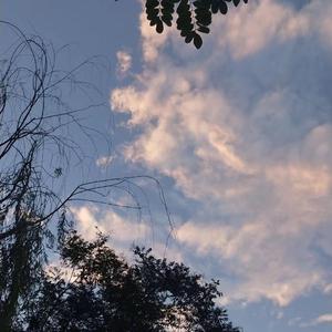 男男视频18免费网站
