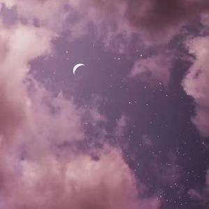 男男视频18免费网站
