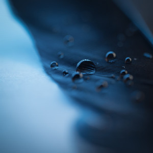 男男视频18免费网站
