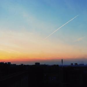 男男视频18免费网站
